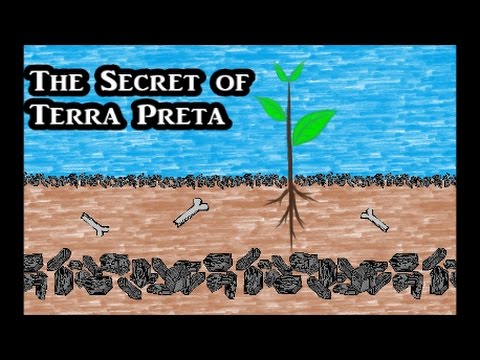The Secret of Terra Preta
