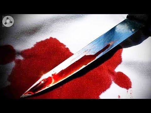 Krimi Hörspiel - Wer tötet, handelt - Friedrich Ani