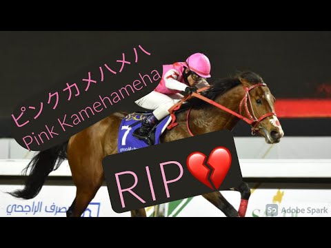 ピンクカメハメハ “Pink Kamehameha” ~ Rest In Peace