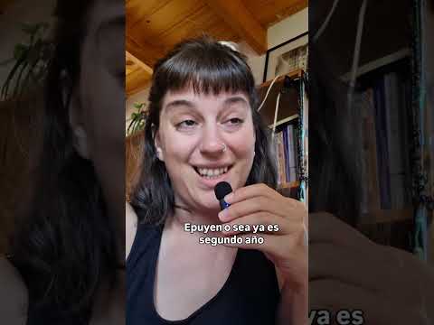 INCENDIO EN EL HOYO Y EPUYEN ENERO 2026 - NECESITAMOS AYUDA