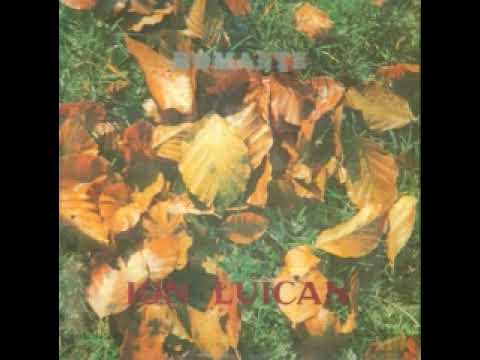 Ion Luican-Mi-e dor de nopti cu luna plina
