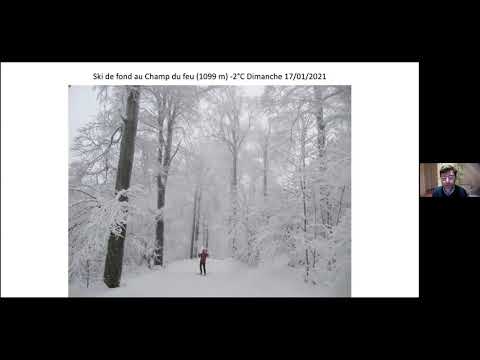 Cœur et poumons
