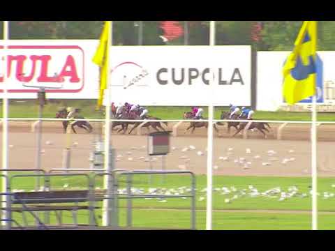 Lopp 8, 30 aug, 2017