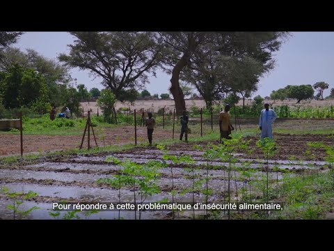 Maîtriser de l’eau pour lutter contre l’insécurité alimentaire