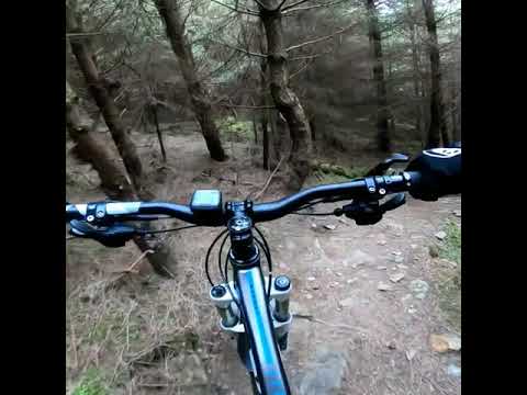 Maulin & Crone woods MTB