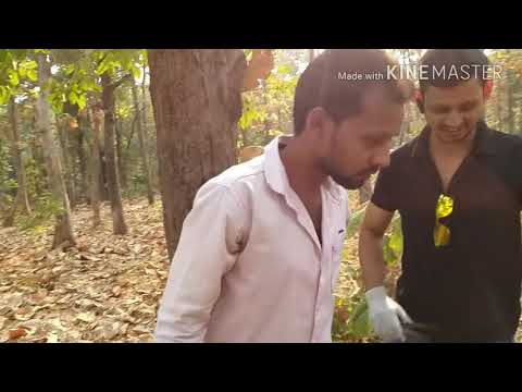 download lagu mp3 mp4 Cid Office Nagpur, download lagu Cid Office Nagpur gratis, unduh video klip Cid Office Nagpur