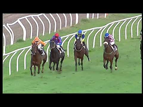 Galoppo 30/11/2020 5ª corsa