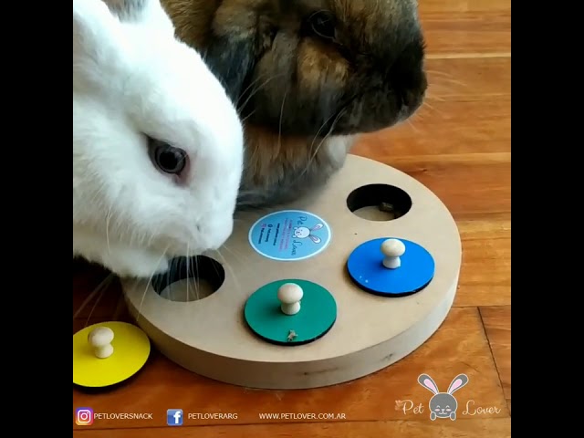 Vídeo relacionado con Ousiya 26 en 1 Juguetes Naturales para Conejo con túnel Plegable, Varios Juguetes para Masticar y escondites, Actividad de dentición