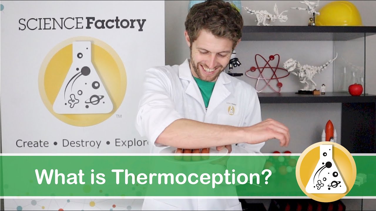 Can You Really Feel Temperature? | How to Trick Your Sense of THERMOCEPTION - YouTube