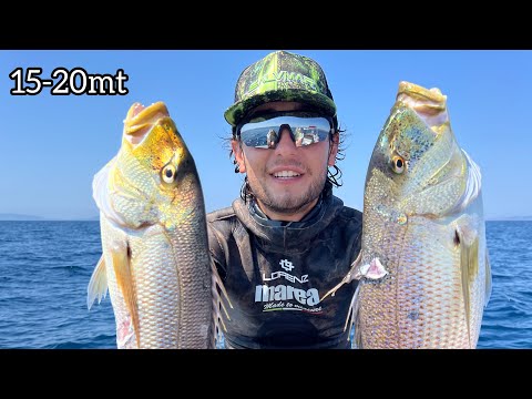 Pescasub | FINALMENTE DENTICI