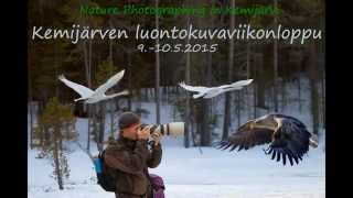 preview picture of video 'Nature Photographing in Kemijärvi'