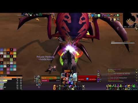 AQ40 - Bug Trio - Feral PoV