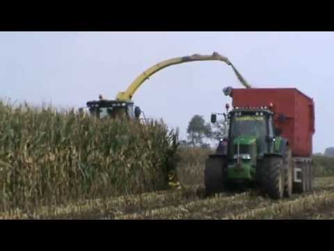 Loonw. Boon - Diksmuide - maïs hakselen - John Deere 7480i
