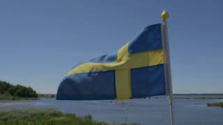 Sveriges nationaldag 6 juni viking se