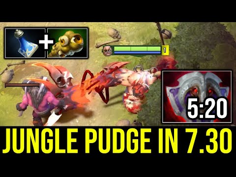 HOW TO JUNGLE PUDGE IN 7.30 PATCH DOTA 2?? 5 Minutes Vanguard Tip!!