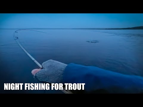 This Fish Took Me to the Backing at Lake Þingvallavatn