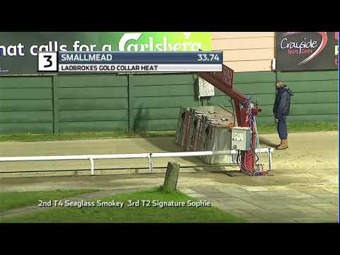 2020 LADBROKES GOLD COLLAR - HEAT 1 - T3 SMALLMEAD