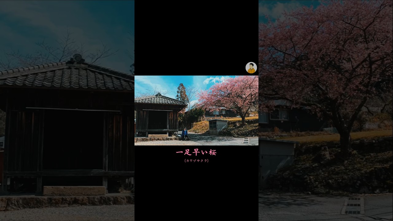 集落訪道記 in静岡の秘境 『針間野集落』