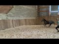 Super ponette de 3 ans