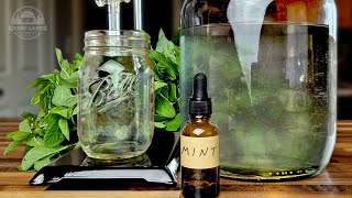 Making Essential Oils at Home with My DIY Distiller - Mint Oil & Hydrosol