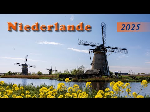NETHERLANDS - a week to see the tulips in bloom by campervan