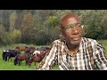 Pesa Kama Njugu! Uncle Fred Obachi machoka Multi-Million Ranch At kajiado