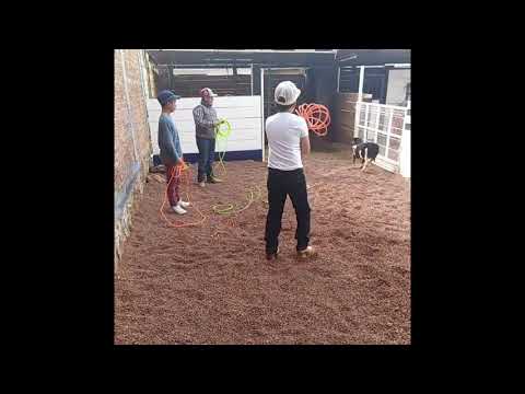 piales infantiles a borregas entrenamiento