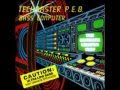 Techmaster PE.B. - Bass By Numbers