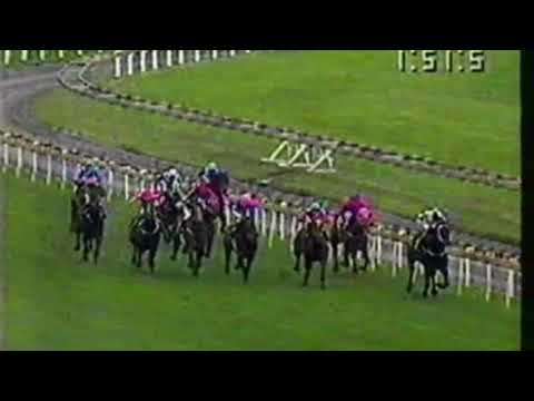 1991 Underwood Stakes - Dr Grace