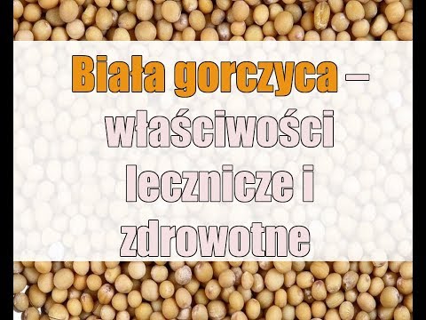 Co maska do włosów z miodem Co jest stosowanie oleju słonecznikowego do włosów