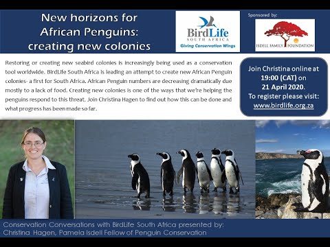 Conservation Conversations: Christina Hagen - New horizons for the African Penguin - 21 April 2020