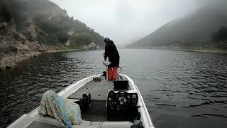 Duo Realis Boostar Wake Swimbait