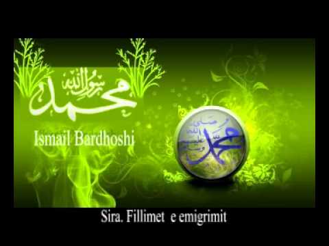 Sira.  Fillimet  e emigrimit -  Ismail Bardhoshi