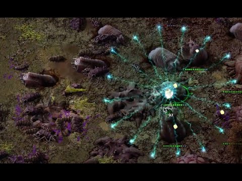 248k x10 - Episode 20 - Big worm energy