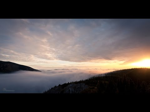 Tarro & Elley Duhé - Millennium (Lyrics Video)