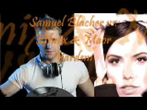 Desert Bird promo 0002