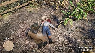 ごくうの自由過ぎるRDR2実況part2