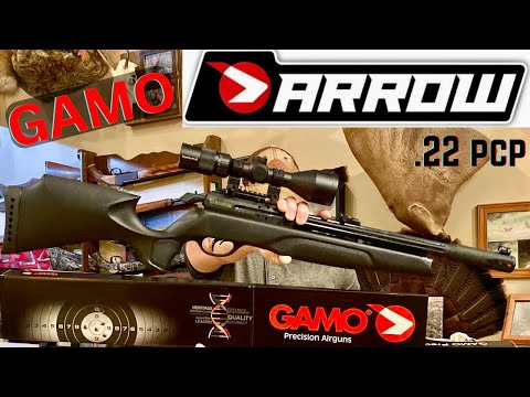 Gamo Arrow review... Is this new .22 PCP better than the Swarm Magnum?!?