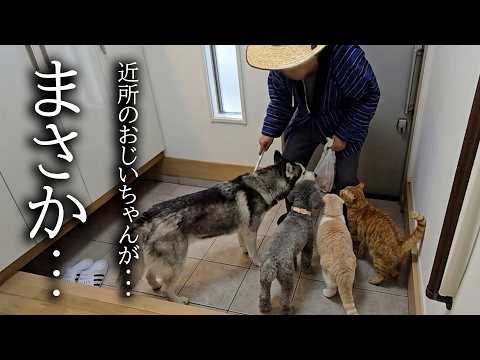 近所のおじいちゃんがすごい剣幕で乗り込んで来ました...