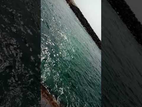 Dwarka - Gomati nadi and samudra Milan