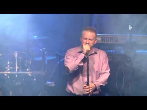 Zlatne Strune - Tango