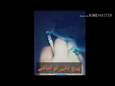 Pashto new song charsi janan