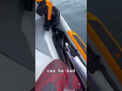 Im going to be okay #spearfishing what an epic day! 🐟
