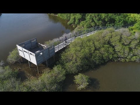Alhukamugai saabithu vaasheve; Sheikh Mujthaba Hameedh