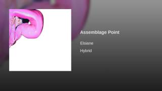 Assemblage Point