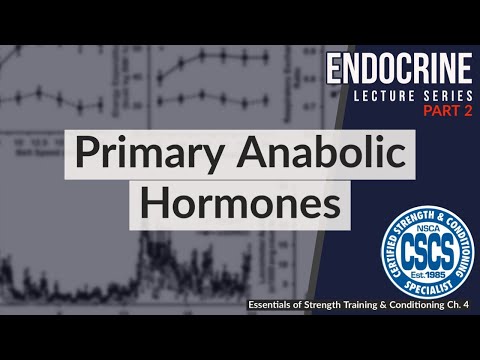 Primary Anabolic Hormones | CSCS Chapter 4 thumbnail