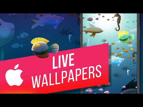 How to Backup iPhone and iPad with iTunes