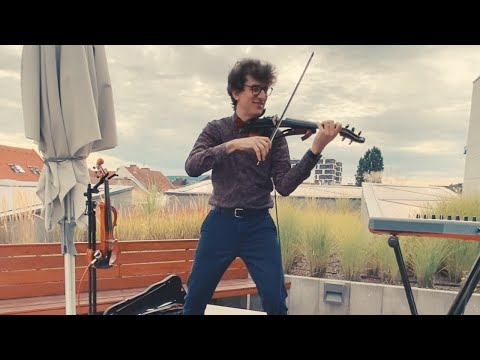 FollowTheViolin - Hull a szilva