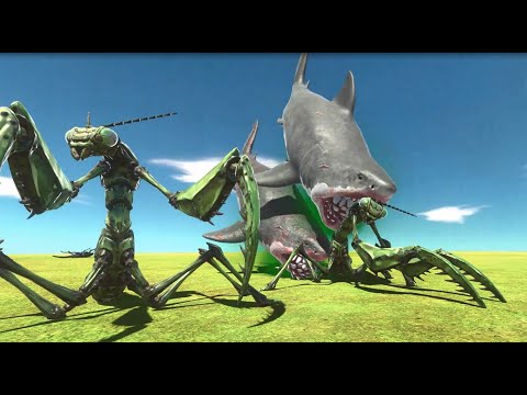 Baby Shark Megalodon Attack All Units Giant Invertebrates - Animal Revolt Battle Simulator