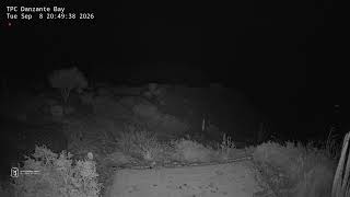 Live Cam from TPC Danzante Bay, 17th hole live webcam